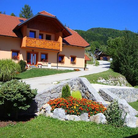 Apartments Trebusak Laze v Tuhinju Kültér fotó