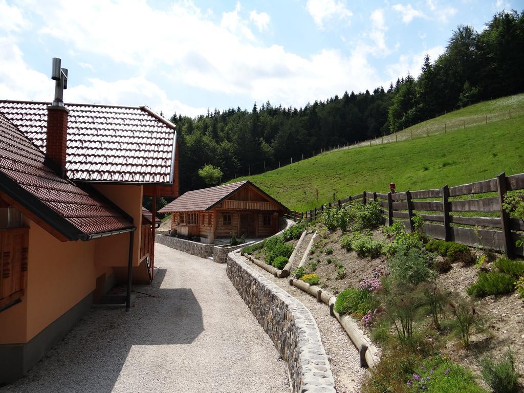 Apartments Trebusak Laze v Tuhinju Kültér fotó