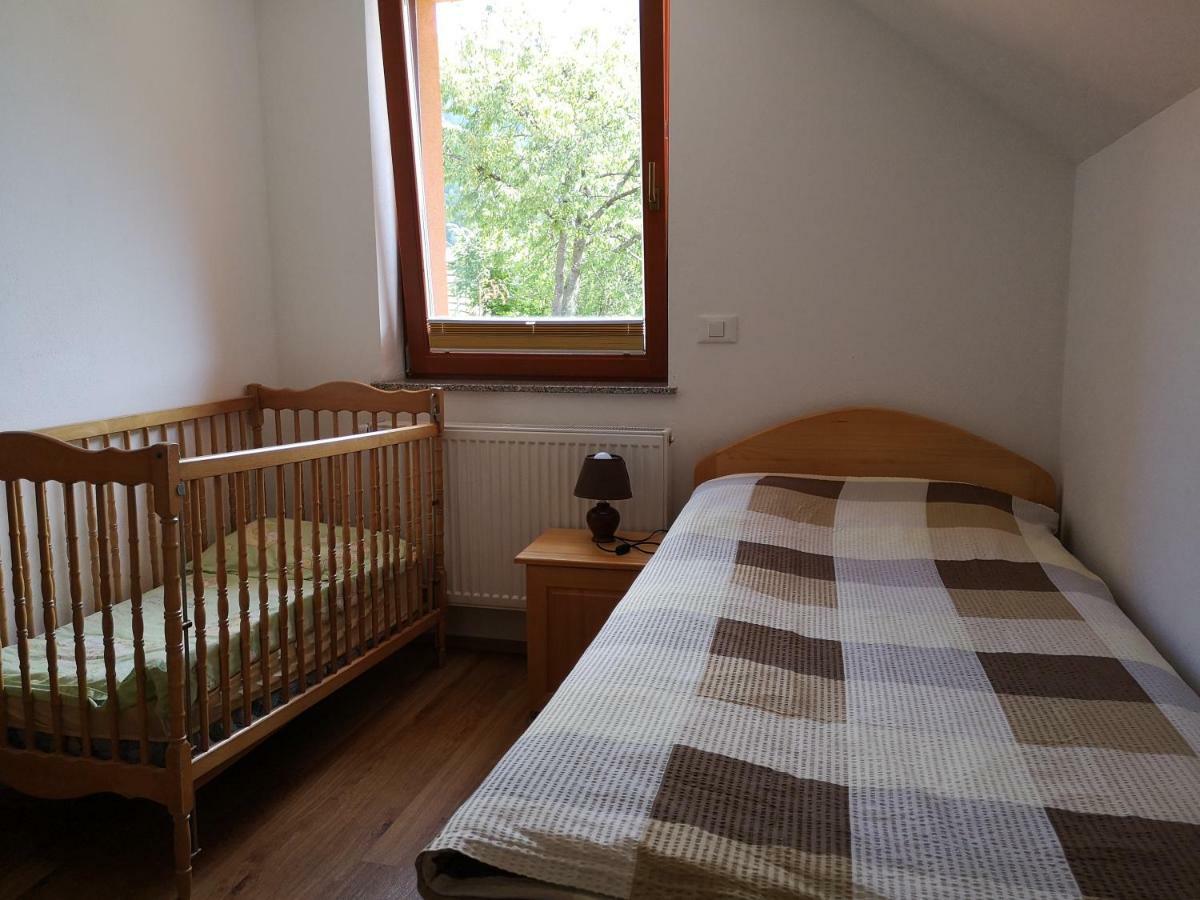 Apartments Trebusak Laze v Tuhinju Kültér fotó